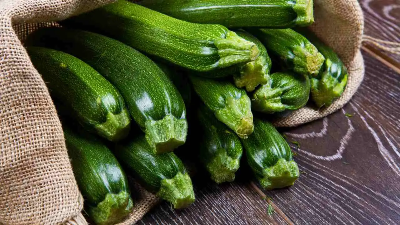 Il periodo ideale per piantare pomodori e zucchine: i consigli dell’esperto