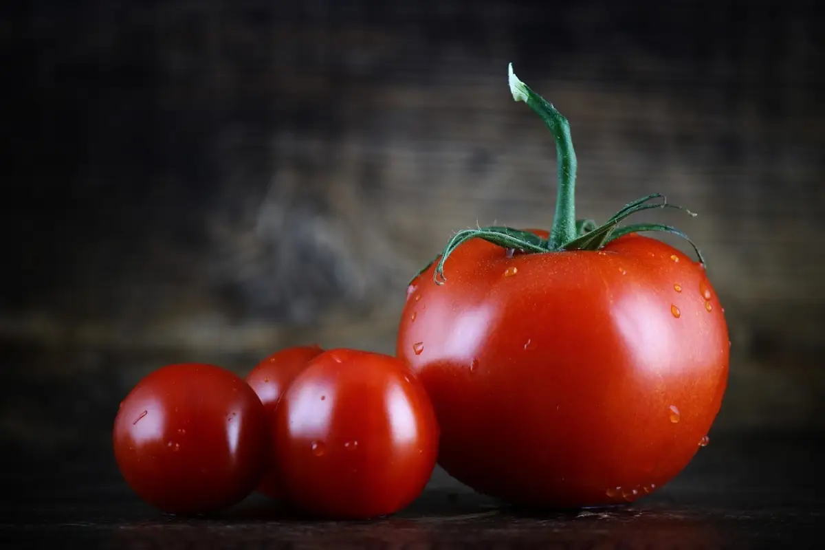 Allerta parassiti: il macerato di pomodoro che evita infestazioni e rinforza le piante